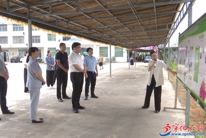 團省委領導來寧化調研