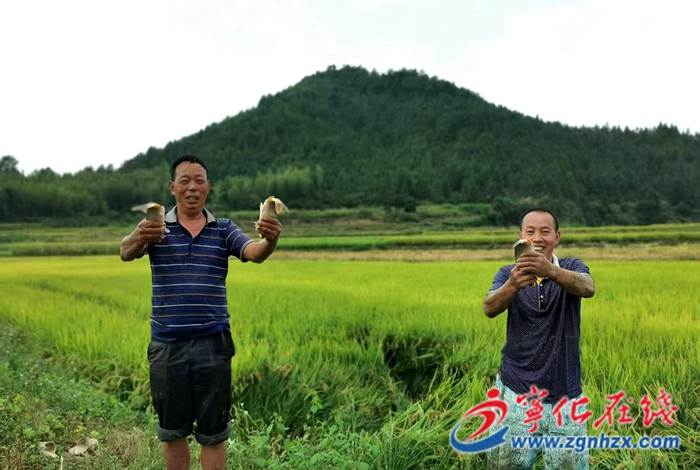 河龍鄉：生態種養，助民增收