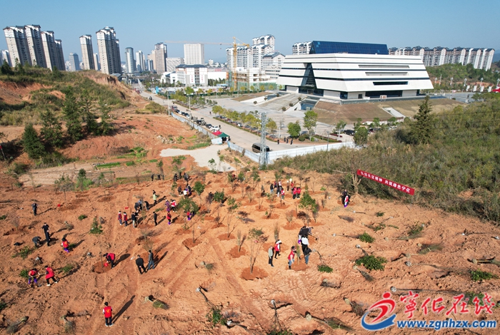 寧化縣開展全民義務植樹活動