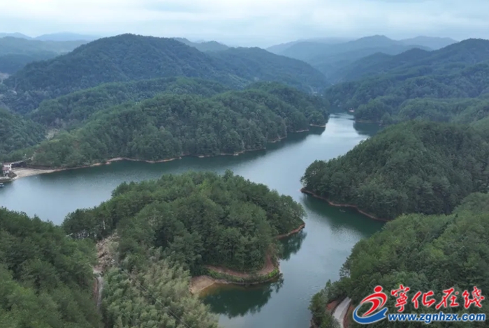 寧化推進重點生態區位商品林贖買改革