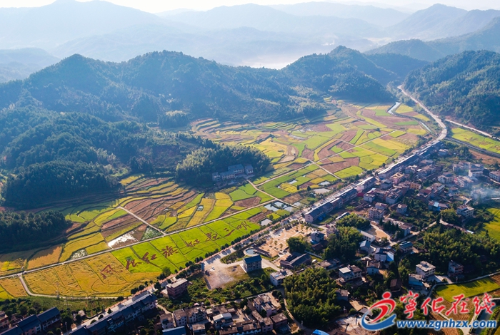 寧化：挖掘農業潛力 確保糧食安全