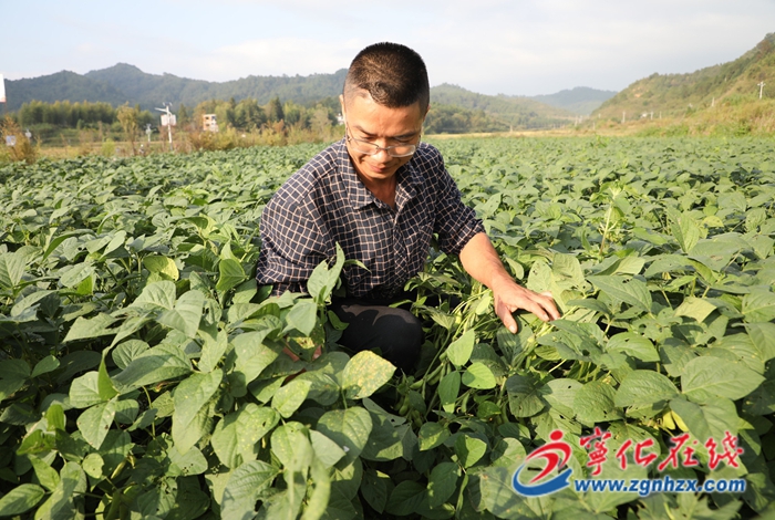 張新華：田野上的追夢人