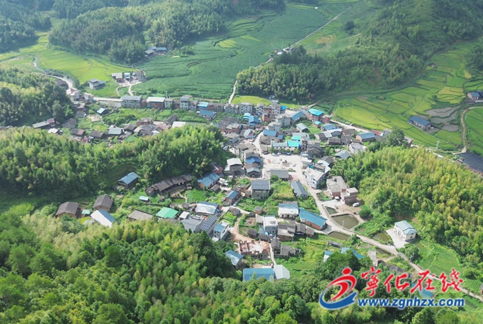 方田鄉:竹蓀產業“破土”生金