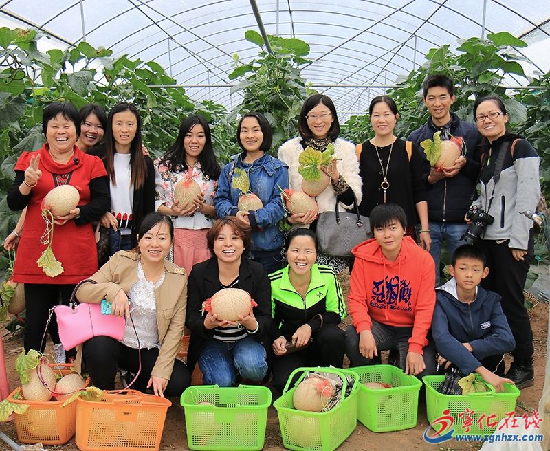 寧化在線網友采摘品嘗石壁密瓜