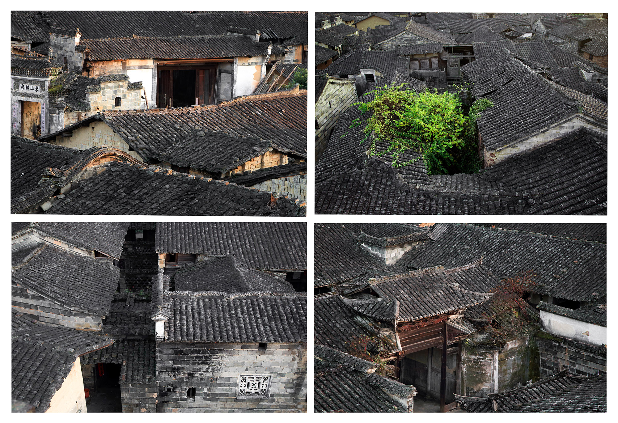 下曹古屋 施福玲/攝