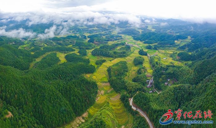 云端之上的河龍