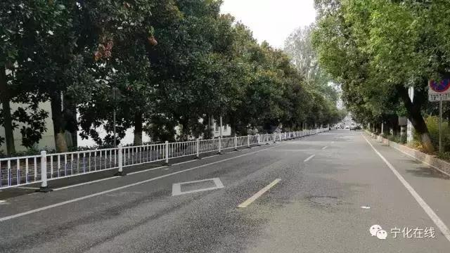 寧化城區北大街施工改造！這則交通管制通告快看看