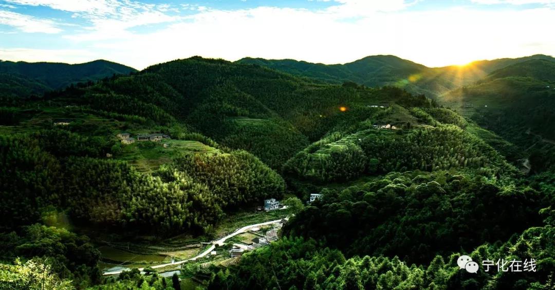 百余張治平美圖來襲，這場攝影賽獲獎作品張張精彩！