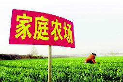 祝賀！寧化這4家家庭農(nóng)場被評為省級示范！