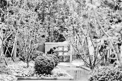 什剎海新添京味兒口袋公園