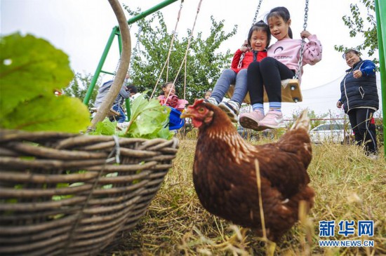 河北永清：“農業(yè)+文化+旅游”推動鄉(xiāng)村振興