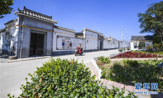 （社會）（5）河北阜城：大皇莊村的美麗蝶變