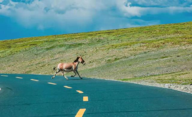 五月旅行地推薦!這3個(gè)地方或驚艷或安逸,有些周末就能去